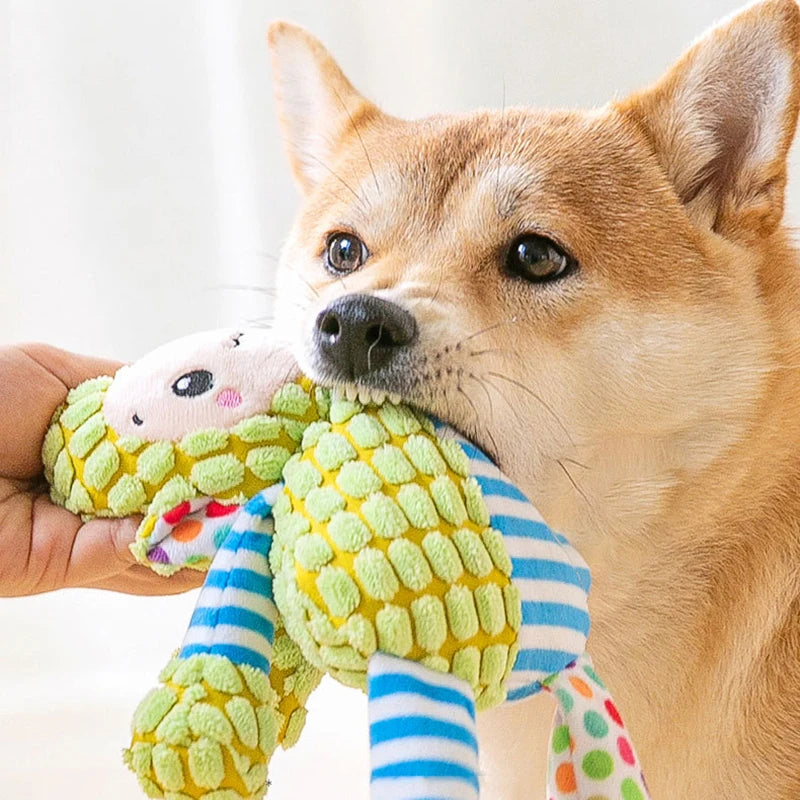 El juguete favorito de los perros en casa
