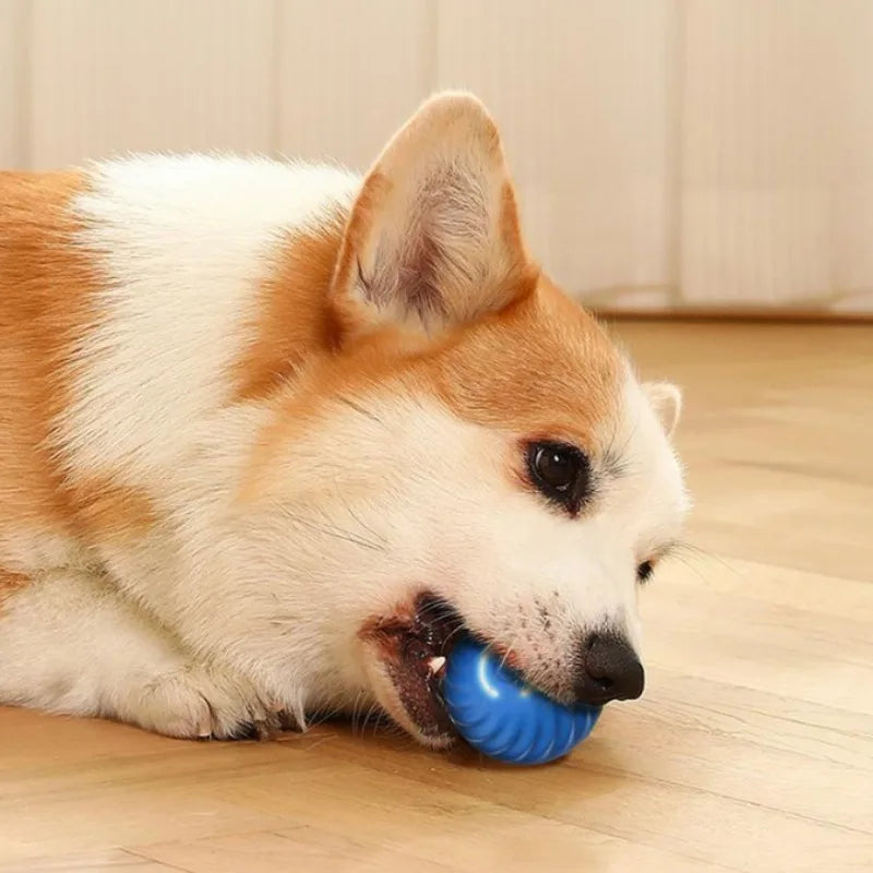 Pelota interactiva automática para perros