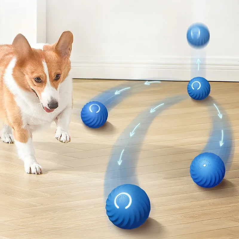 Pelota interactiva automática para perros