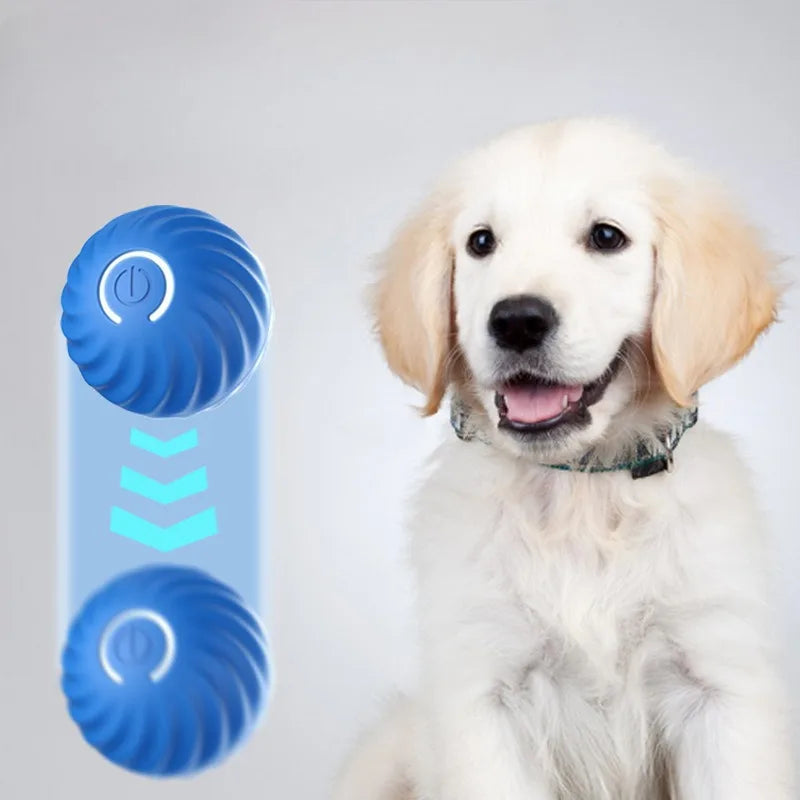 Pelota interactiva automática para perros